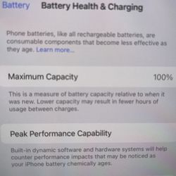iPhone 14 Pro Max - 100% Battery- 512 Gb Storage- Unlocked 