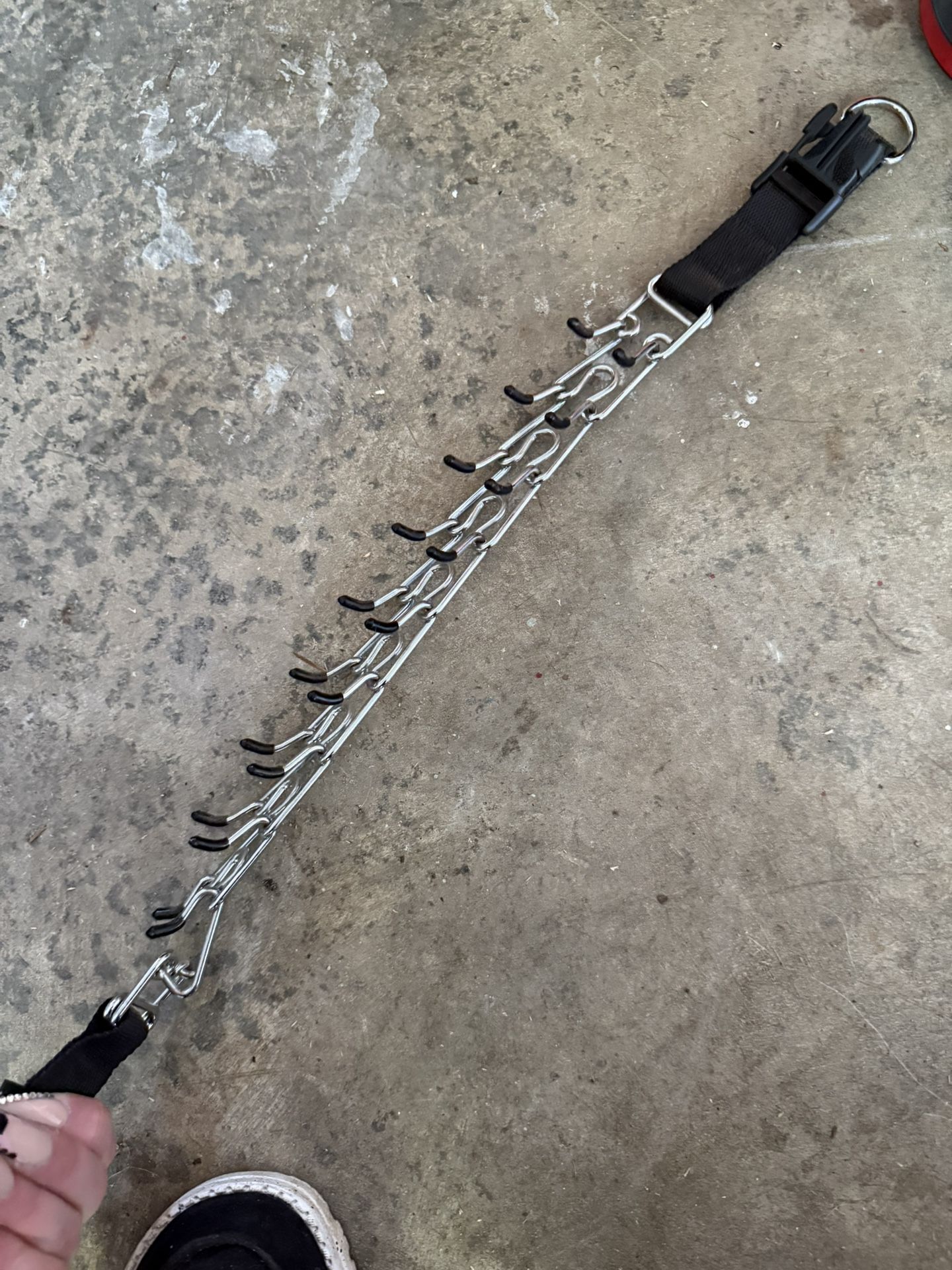 2 Dog Prong Collars 