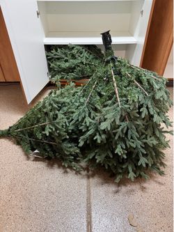 12 feet Christmas tree