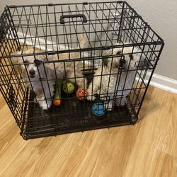 Dog, Cage 