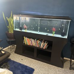 125 Gallon Aquarium 