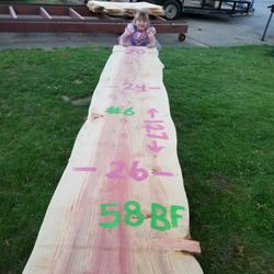 Coastal Redwood Live Edge Slabs