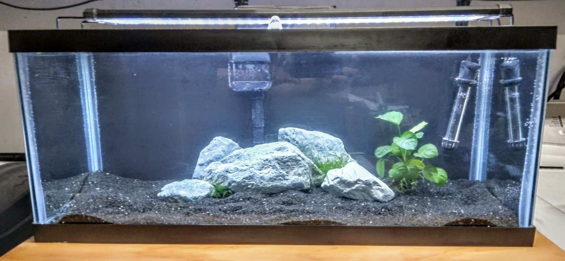 20 Gallon Long Freshwater Aquarium Fish Tank
