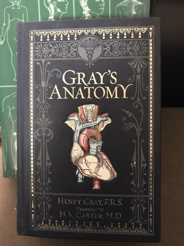 Grays Anatomy manual