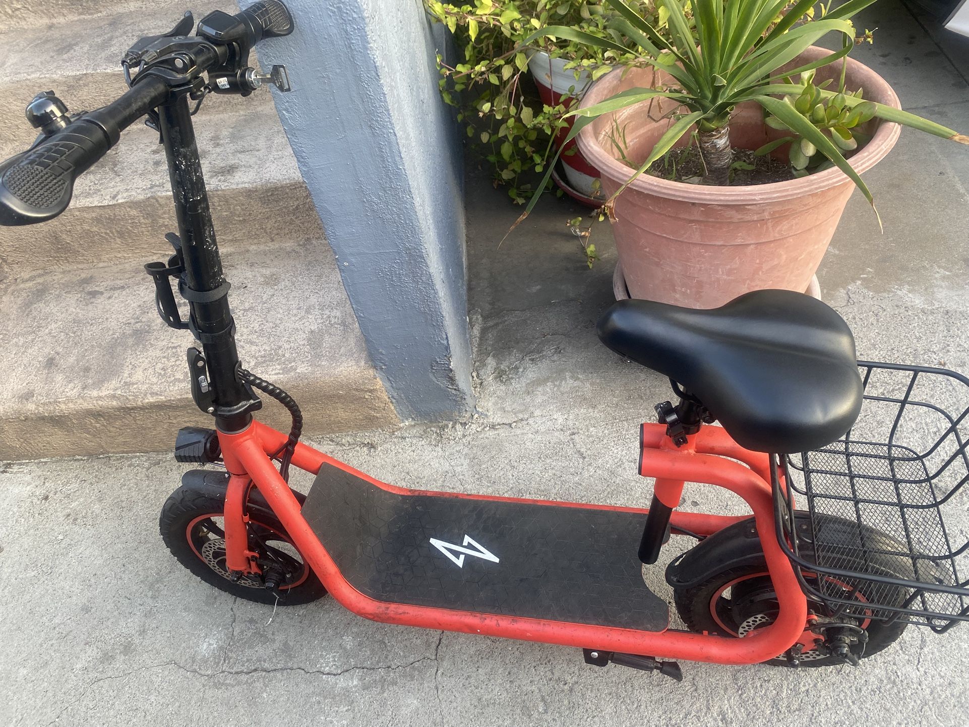 Scooter Electric