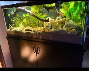 75 gallon Aquatrum