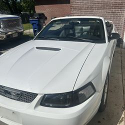 2002 V6 Mustang 