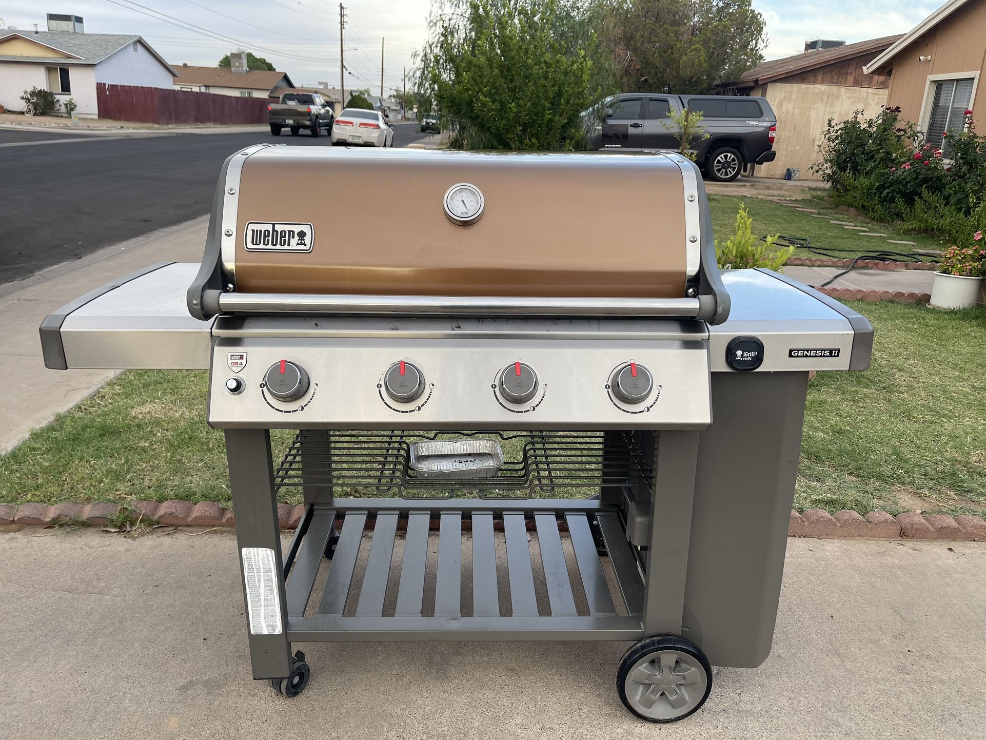 Weber Grill Asador BBQ
