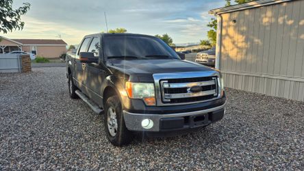 2013 Ford F-150