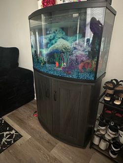 Aquarium 36 gallons with stand