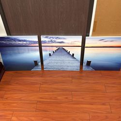 3 Piece Triptych Wall Art