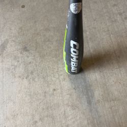 Baseball Bat