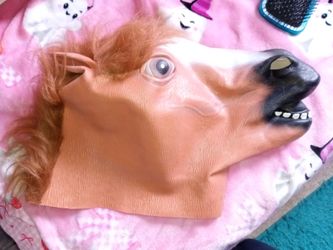 Horse mask new.