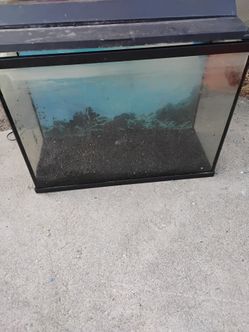 37 Gallon Aquarium