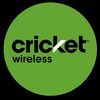 W Shaw Cricket