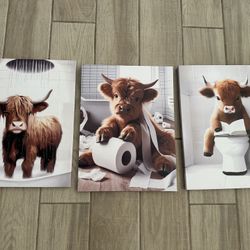 Highland Cow Pictures