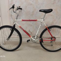 Mid 80s Takara Conquest ATB/Commuter - 21"