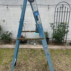 Werner 6ft Ladder $25