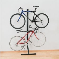 Bike Rack (Holds 2 Bikes - Saris)