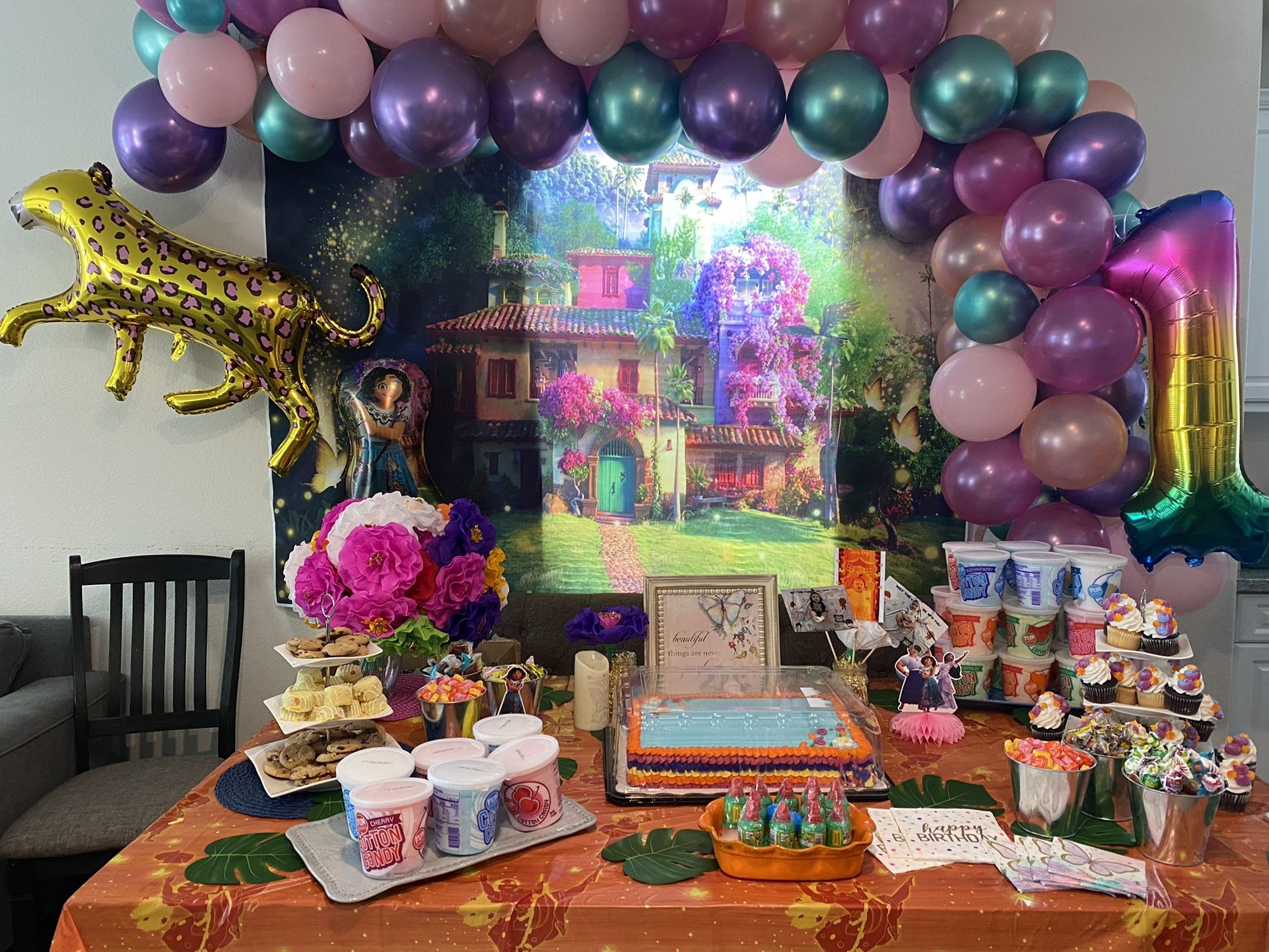 Encanto 1st Bday Party Supplies