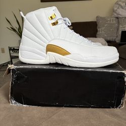 Air Jordan 12’s - OVO