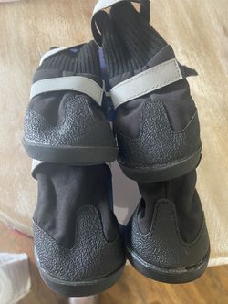 shoes For Dog