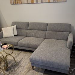 Light grey couch Sectional 