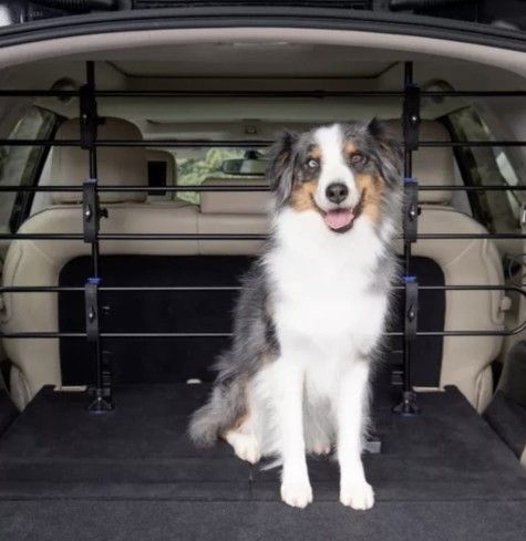 PetSafe Happy Ride Metal Car Barrier For Dogs- Black