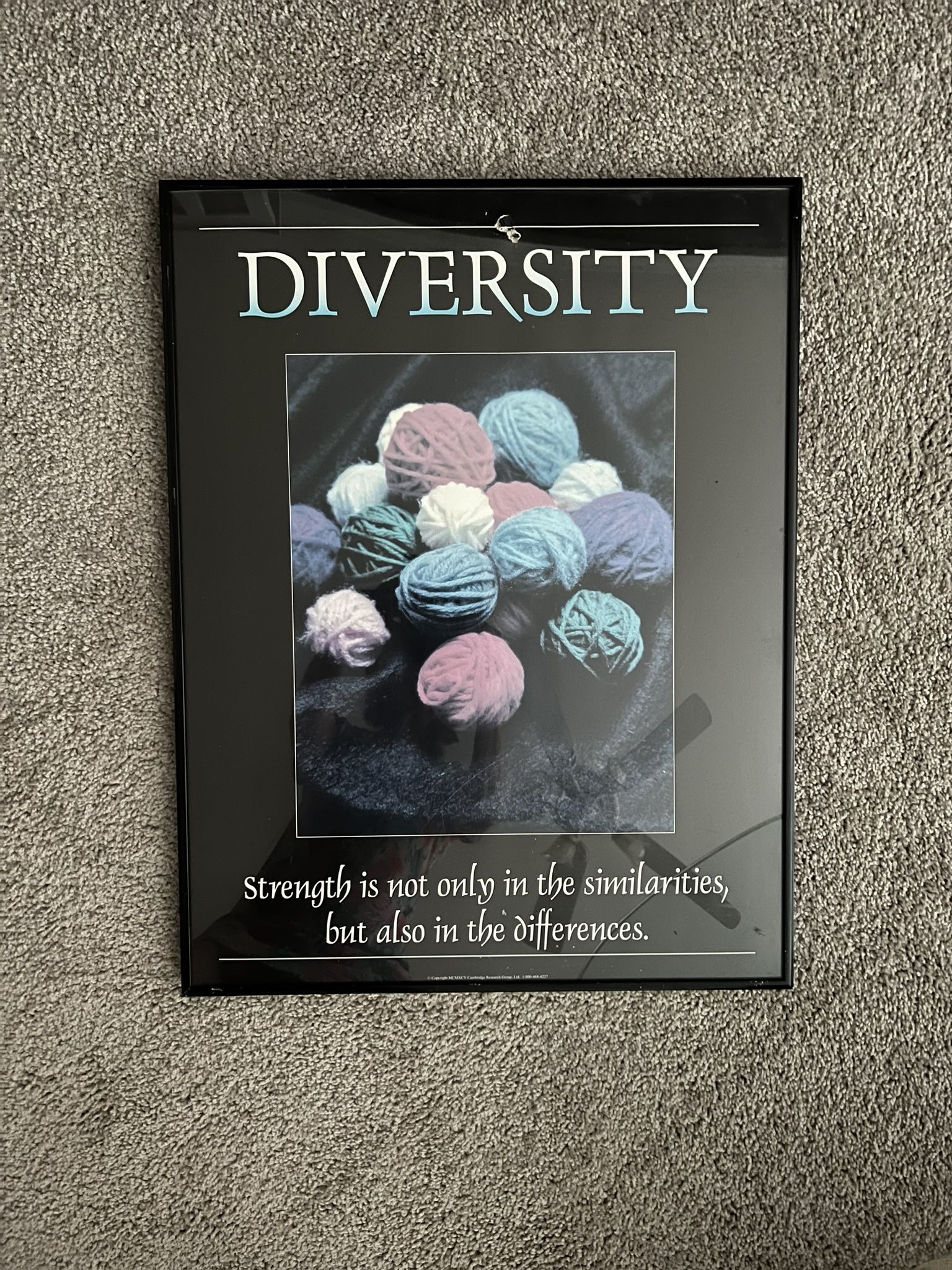 Motivational Poster - Diversity