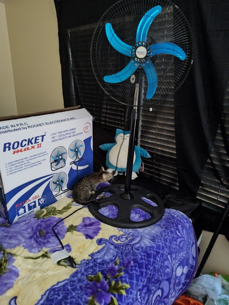 3 In 1 High Powered Oscillating Fan