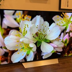 LG OLED 70 
