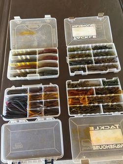Fishing Bass Worms $25 a box