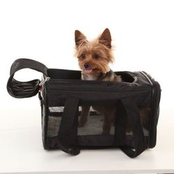 Sherpa Pet Carrier.