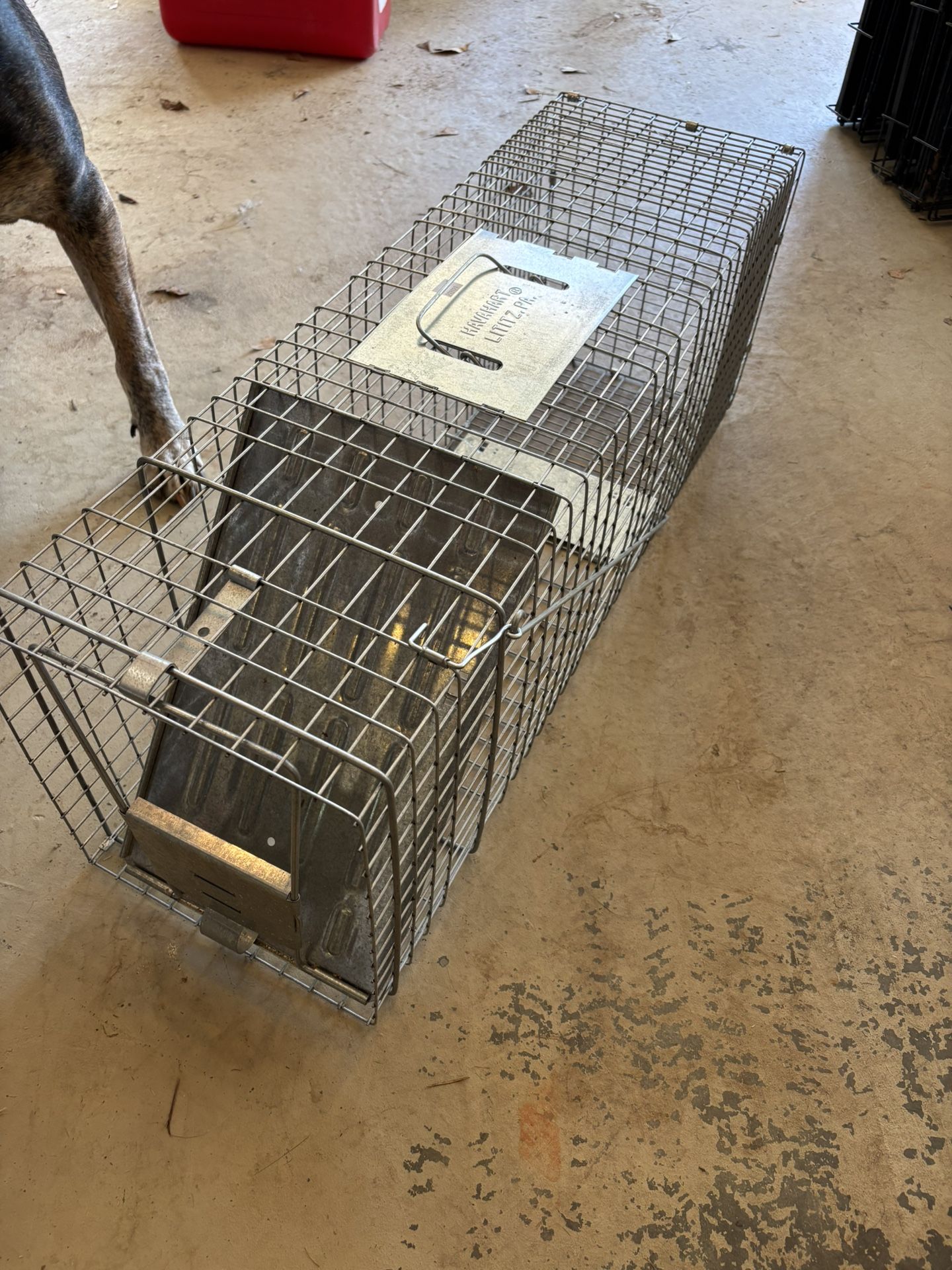 Animal Trap- Small