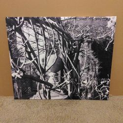 Canvas b&w print