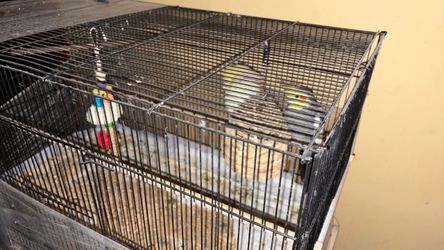 Cage