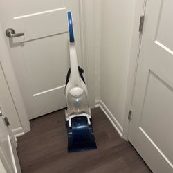 Carpet cleaner 