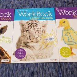 3 Pre K Workbooks