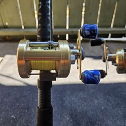 Rods And Reels