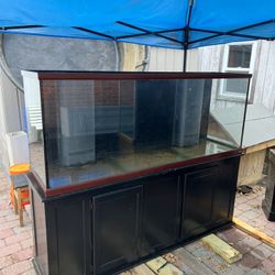 150 Gallon Fish Tank