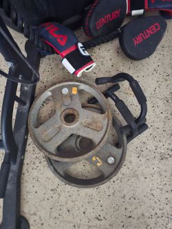 35 Pound plates (2)