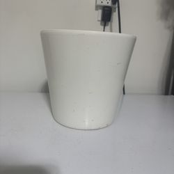 Plant Pot