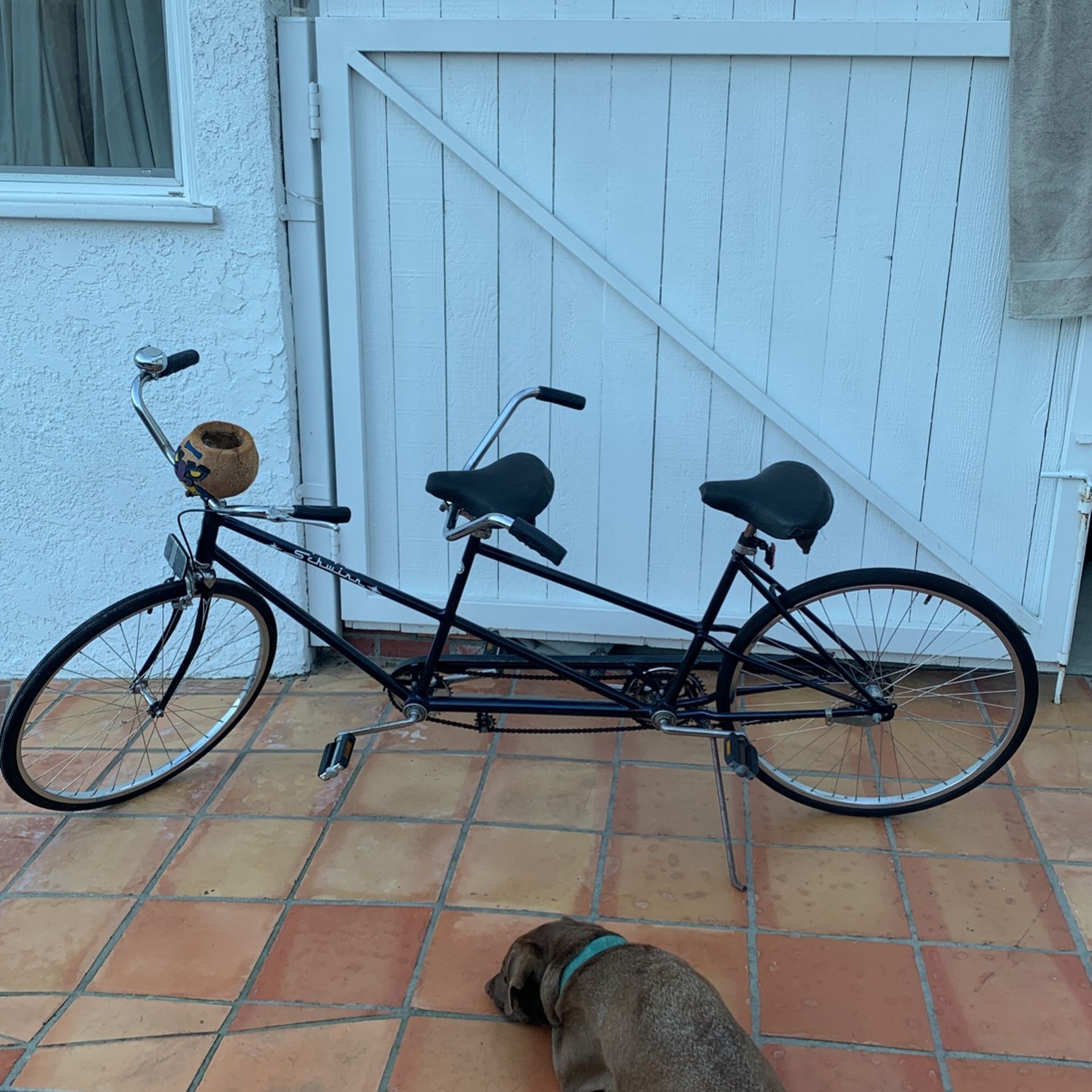 1973 Schiwnn De Luxe Twin Tandem Bike