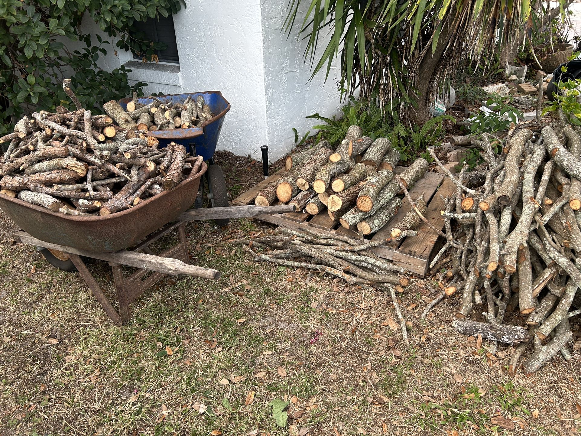 Firewood