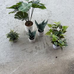 Fake Indoor Plants