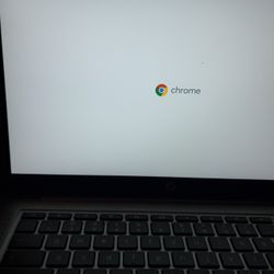 Hp Chrome Book