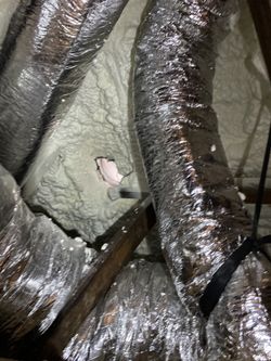 Spray Foam-roof Attic
