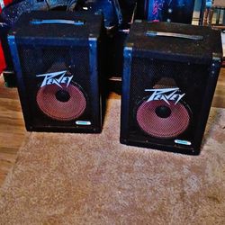 Peavey speakers