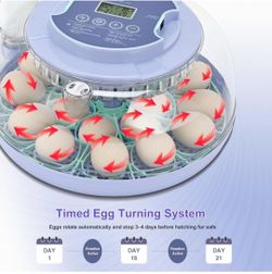 Cliseve 18 eggs incubator