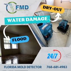Flood - Water Damage - Restoration 